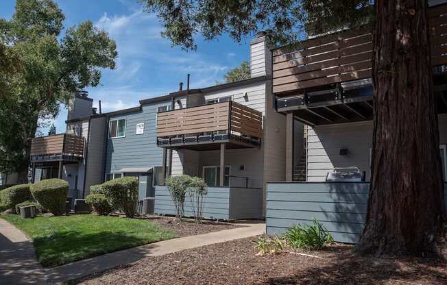 A tree is in front of an apartment building at Sierra Glen Apartments, California, 95621