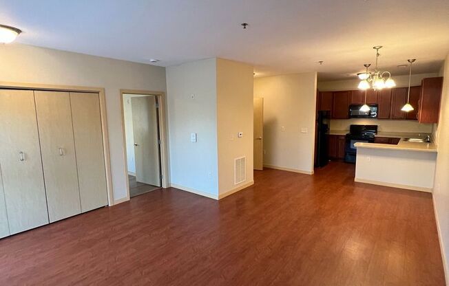 1 bed, 1 bath, 735 sqft, $1,175, Unit 101
