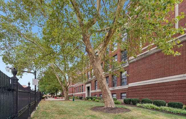A tree in front of a brick building.