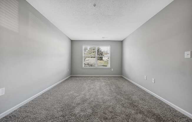 A spacious room with grey carpeting and a window showing a view of trees and a building.