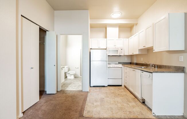 Studio, 1 bath, 438 sqft, $1,100, Unit 1005