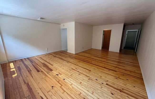 Studio, 1 bath, 487 sqft, $1,250, Unit Fifth 206