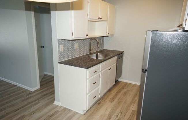 1 bed, 1 bath, 700 sqft, $1,250, Unit 101