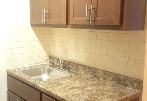 Studio, 1 bath, 375 sqft, $1,300, Unit 4031-210