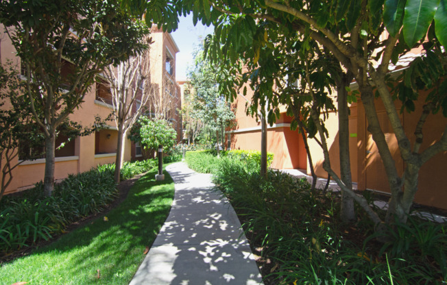 A pathway with trees and bushes on either side leading to a building.