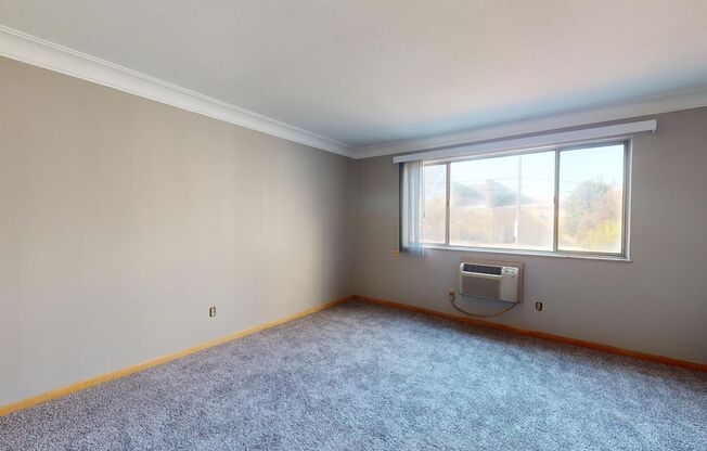 Studio, 1 bath, 500 sqft, $750, Unit 207