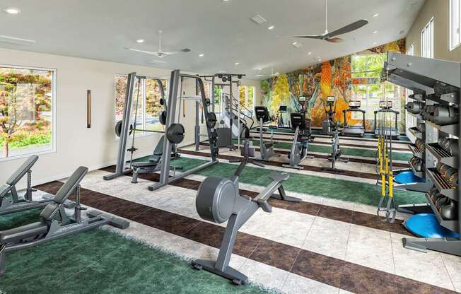 Canyon Terrace Apartments