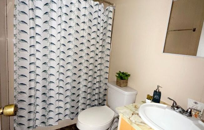 Studio, 1 bath, 420 sqft, $700, Unit 146A