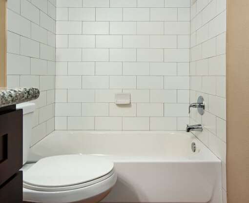 a bathroom with a toilet and a bathtub