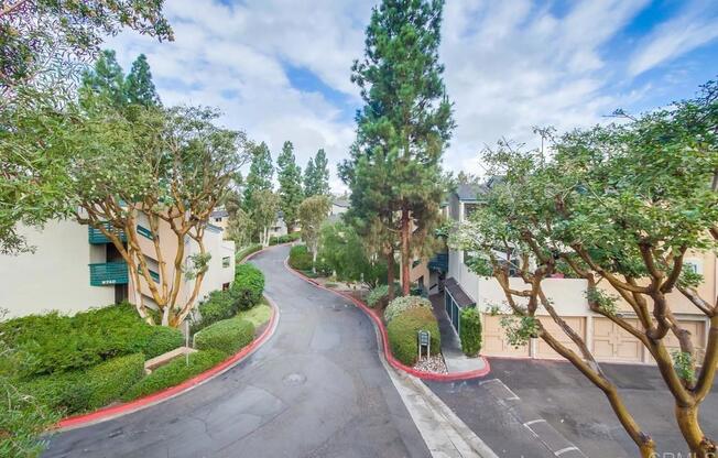 9771 MESA SPG WAY