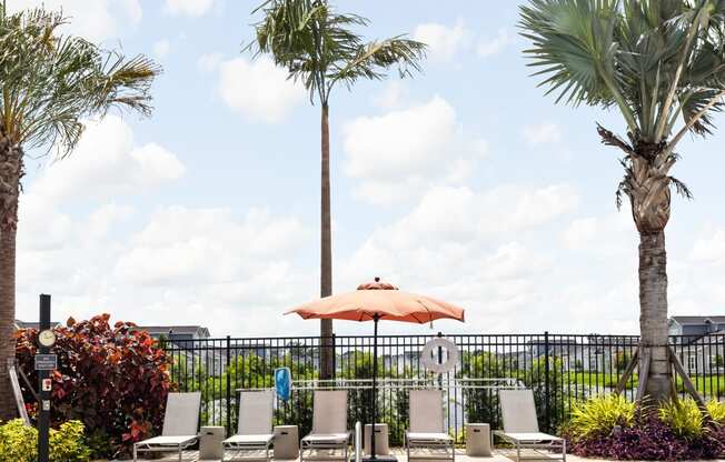 a pool with chairs and an umbrella on a deck with palm trees at The Sophia, Venice, FL, 34275