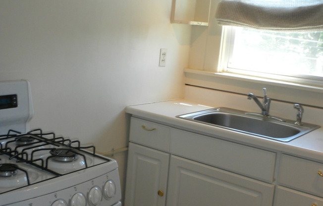 1 bed, 1 bath, $695, Unit Apt 301