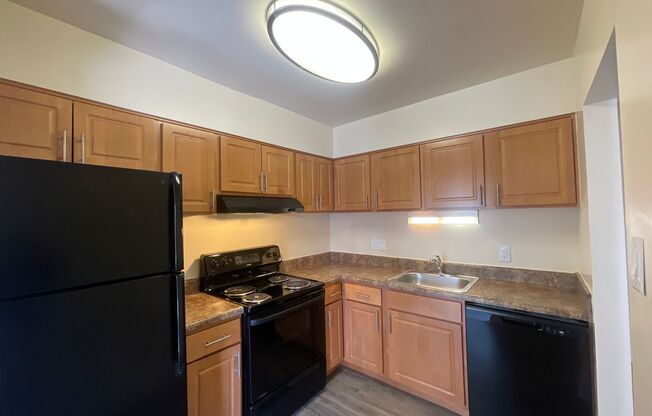 1 bed, 1 bath, 745 sqft, $1,685, Unit 14233-102