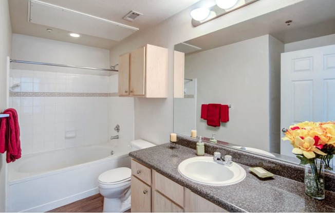 a bathroom with a sink and a toilet and a bath tub