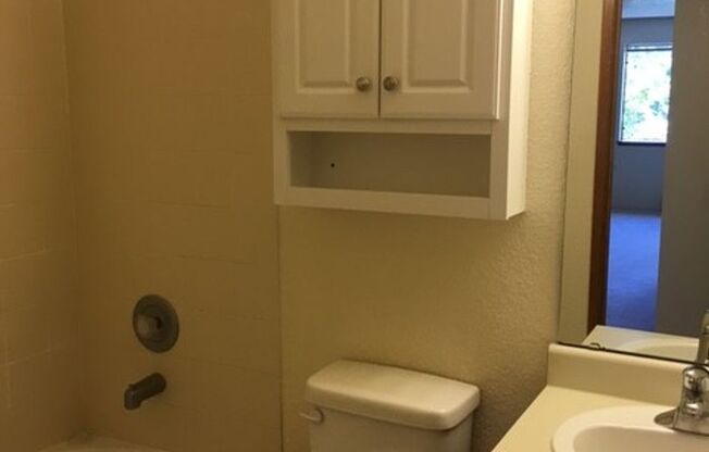 Studio, 1 bath, 683 sqft, $1,375, Unit 213