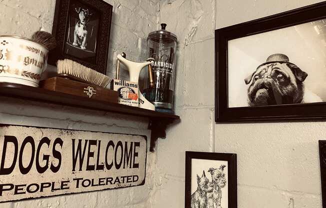 The District Dog Spa