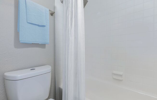 1 bed, 1 bath, 593 sqft, $1,250, Unit 3204