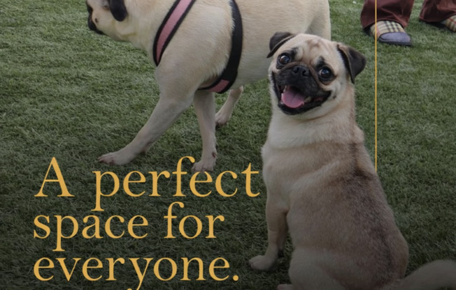 1 bed, 1 bath, 555 sqft, $2,675, Unit 414