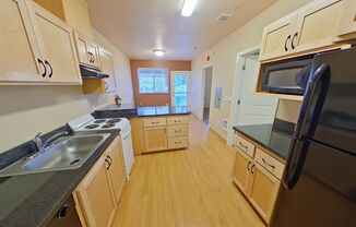 1 bed, 1 bath, 391 sqft, $1,250, Unit 207
