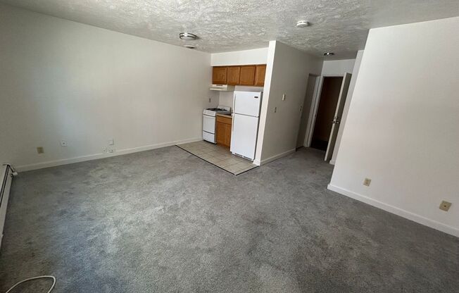 Studio, 1 bath, $795, Unit 217