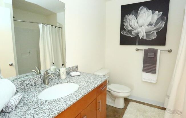 Designer Granite Countertops In All Bathrooms at Withington Apartments, MRD Apartments, Jackson, MI, 49201