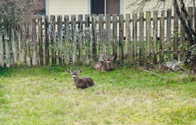 3 Bedroom Home located in the heart of town! Close to everything!