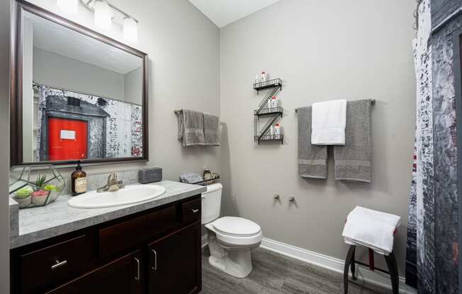 a bathroom with a mirror and a sink and a toilet