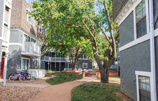a courtyard with trees and a path between two buildings