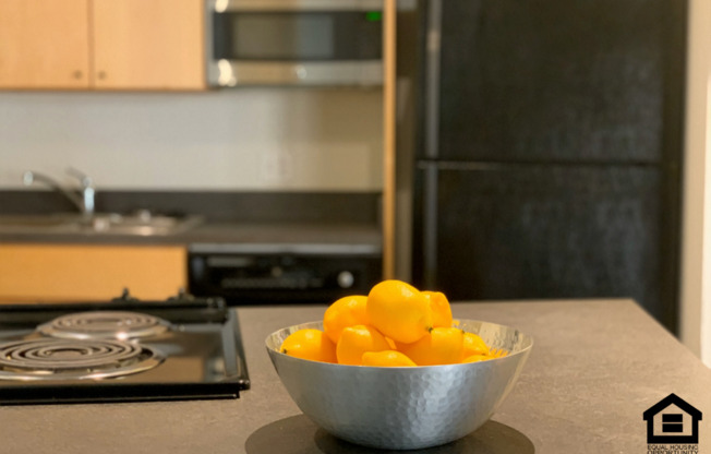 1 bed, 1 bath, 1,021 sqft, $1,575, Unit 309