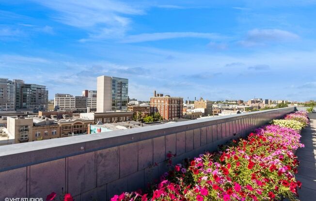 Studio, 1 bath, 266 sqft, $1,130, Unit #202