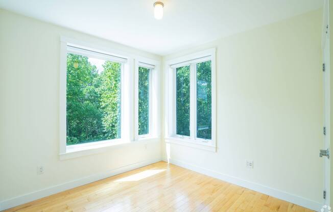 A room with a wooden floor and three windows. at 603 Concord Apartments, Massachusetts, 02138