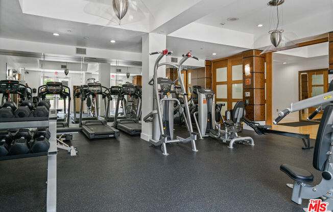 1 bed, 1 bath, 735 sqft, $2,500, Unit 308