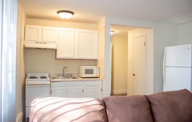 1 bed, 1 bath, 500 sqft, $920