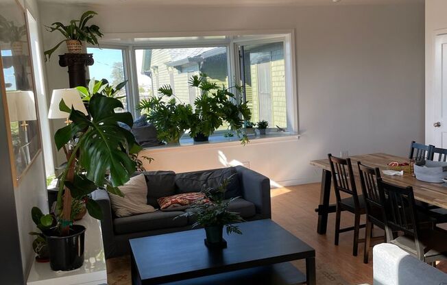 Viewing Schedule: Please call Shami at (415) 225-2543 to schedule a viewing.