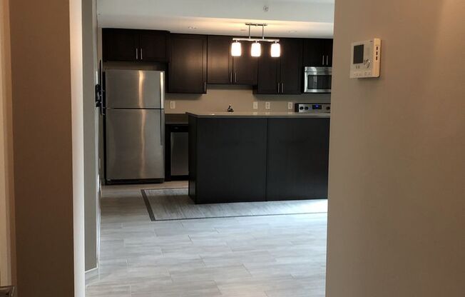 Studio, 1 bath, 594 sqft, $1,335, Unit 1105