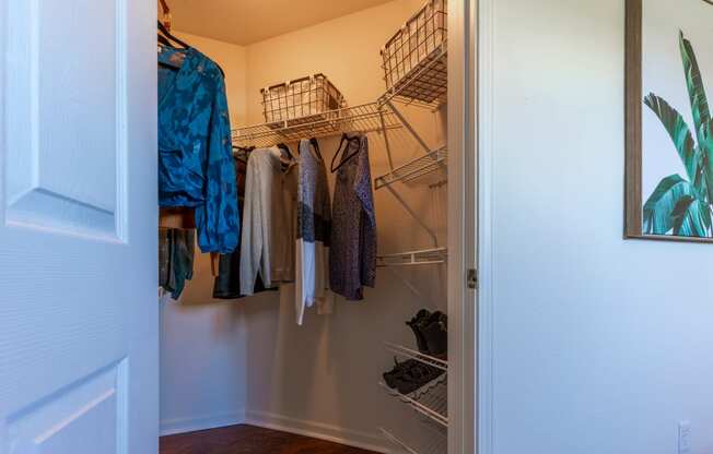 Large Closets at Bexley Village, Greenwood