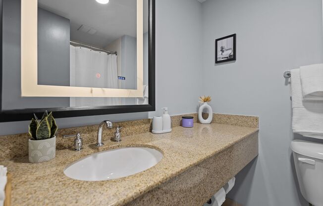 Studio, 1 bath, 360 sqft, $1,395, Unit 542