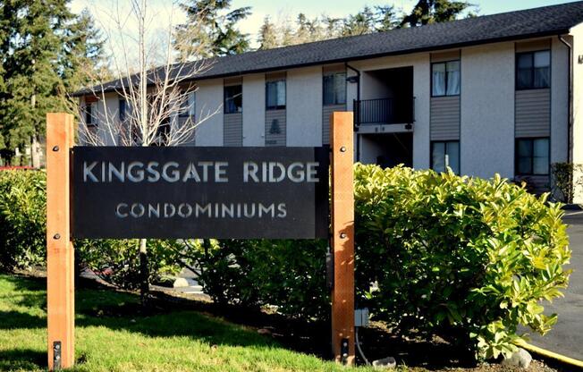 Cozy 1 bedroom in the heart of Kingsgate neighborhood
