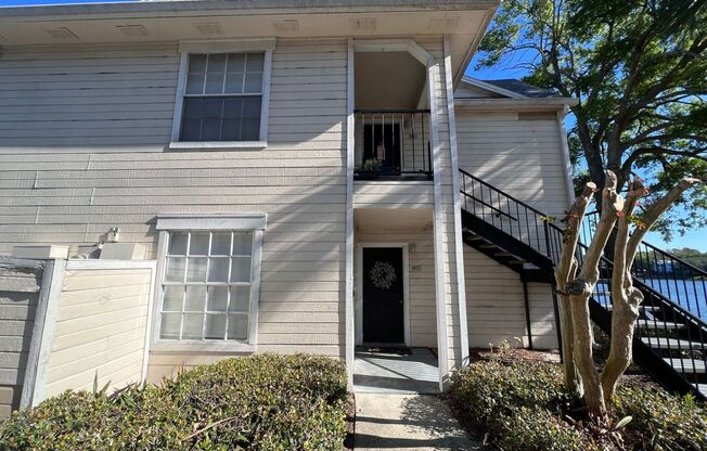 Great Apartment for rent!