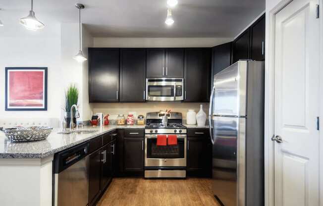 A modern kitchen with black cabinets and stainless steel appliances.