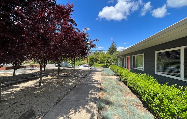 Modern 2-Bedroom! In-Unit Washer & Dryer, Covered Patio & Pet Friendly!