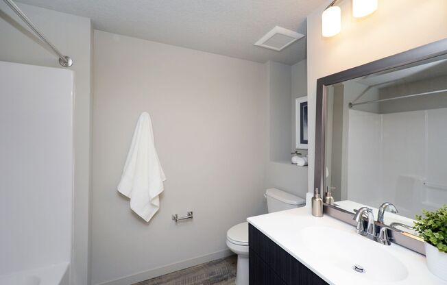 Studio, 1 bath, 350 sqft, $1,175, Unit 100