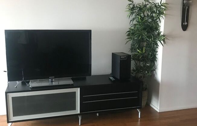 1 bed, 1 bath, $1,800