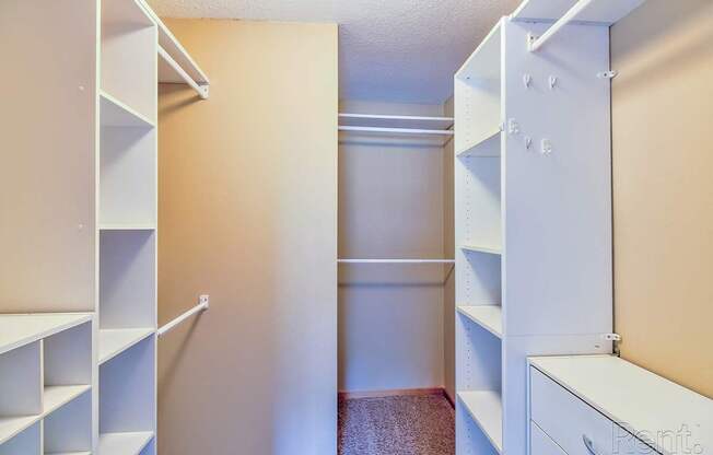 a walk in closet with shelves and drawers and a mirrored closet door