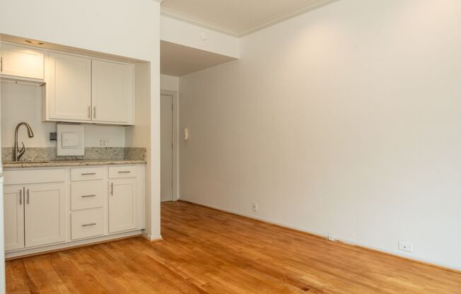 Studio, 1 bath, $1,200, Unit 402