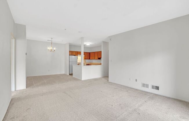 524 Coppola Dr
