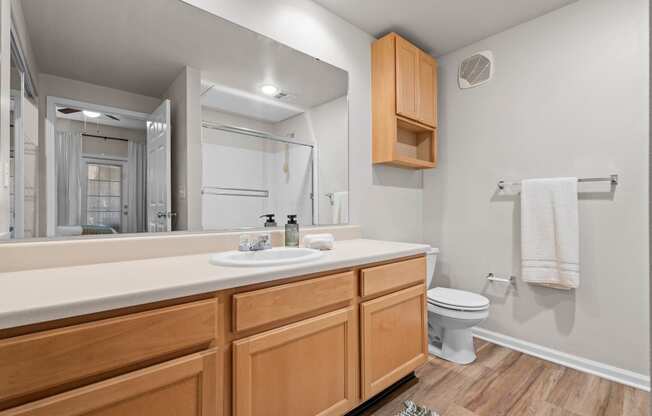Large Bathroom at Deer Creek Apartment Homes
