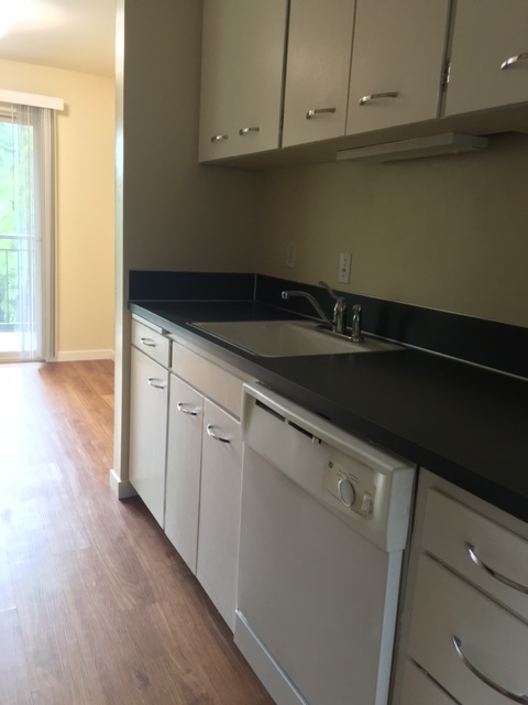 1 bed, 1 bath, 650 sqft, $1,995, Unit 205