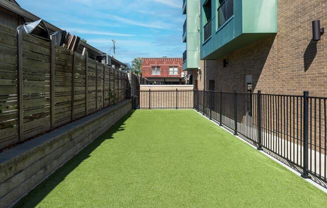 Hibernia fenced pet park with green turf