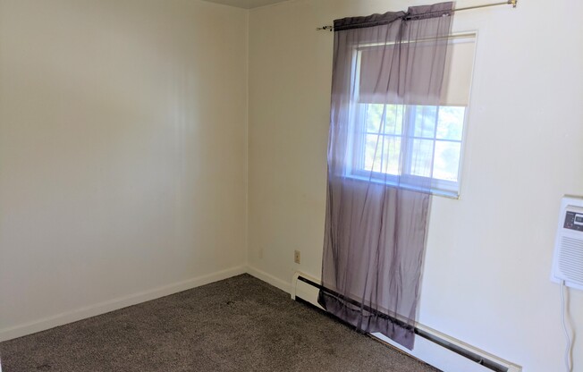 Studio Apartment in Speedway!